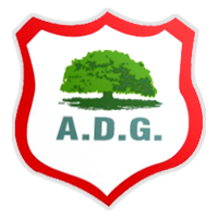 桑托斯DG